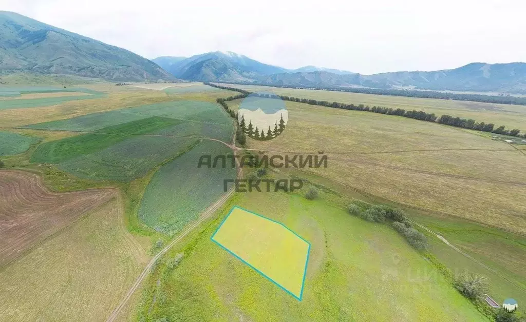 Участок в Алтай, Усть-Коксинский район, с. Катанда  (20.0 сот.) - Фото 1