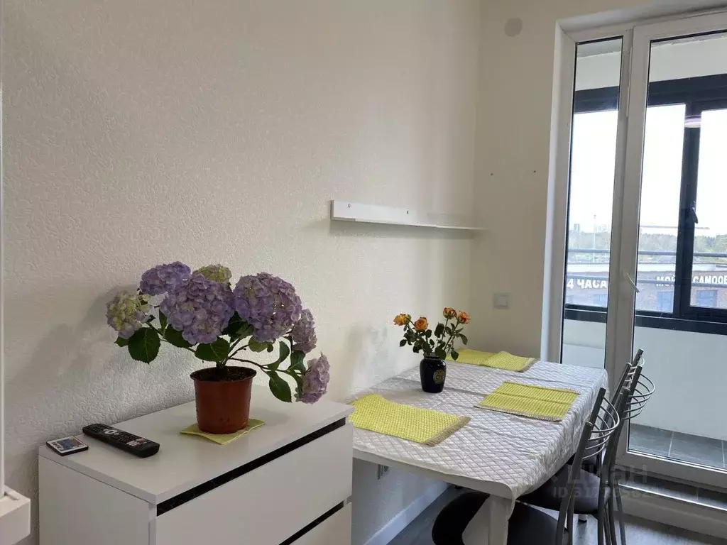 Студия Санкт-Петербург ул. Плесецкая, 28к1 (29.6 м) - Фото 0