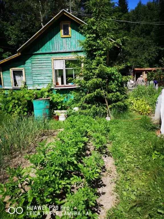 Участок в Владимирская область, Судогодский район, пос. Головино ... - Фото 0