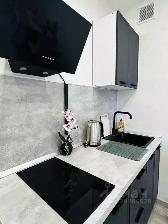 Студия Тверская область, Тверь ул. С.Я. Лемешева, 8 (28.0 м) - Фото 1