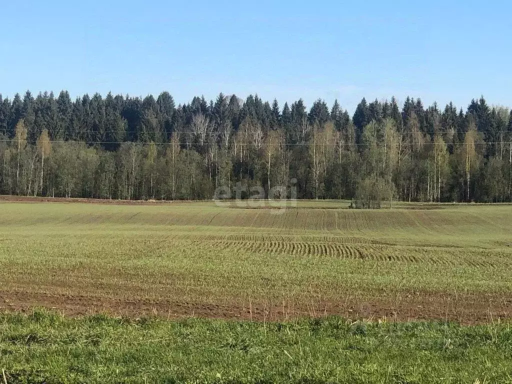 Участок в Вологодская область, Левонино садоводческое товарищество  ... - Фото 1
