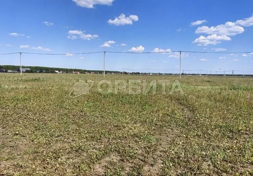 Участок в Тюменская область, Заводоуковск Южный мкр,  (9.56 сот.) - Фото 2