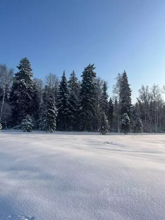 Участок в Московская область, Истра муниципальный округ, д. Дубровское ... - Фото 1