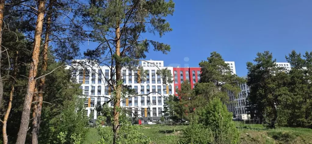 2-к кв. Татарстан, Казань ул. Азата Аббасова, 21 (55.4 м) - Фото 1