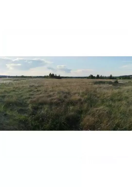 Участок в Свердловская область, Байкаловский район, Краснополянское ... - Фото 1