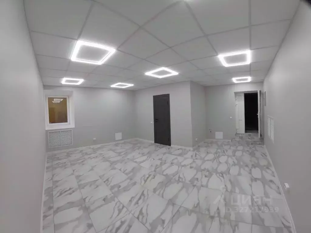 Помещение свободного назначения в Санкт-Петербург Угловой пер., 7 (42 ... - Фото 2