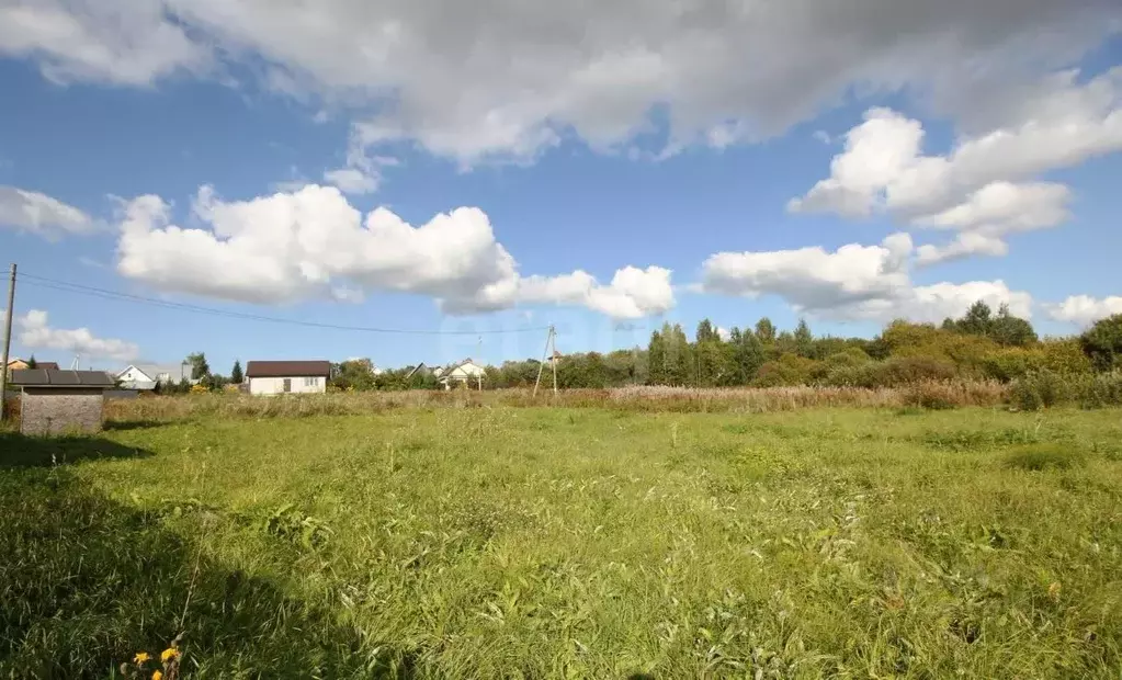 Участок в Вологодская область, Шекснинский муниципальный округ, д. ... - Фото 1