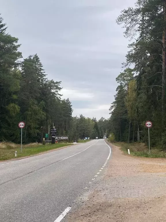 Участок в Ленинградская область, Выборгский район, Приморское ... - Фото 1