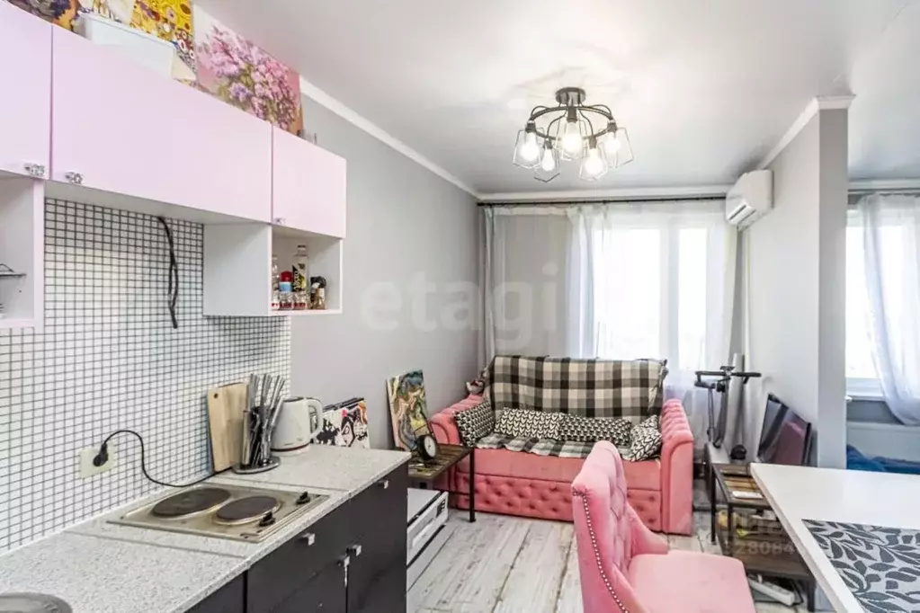 1-к кв. Тюменская область, Тюмень Ставропольская ул., 160 (24.1 м) - Фото 1