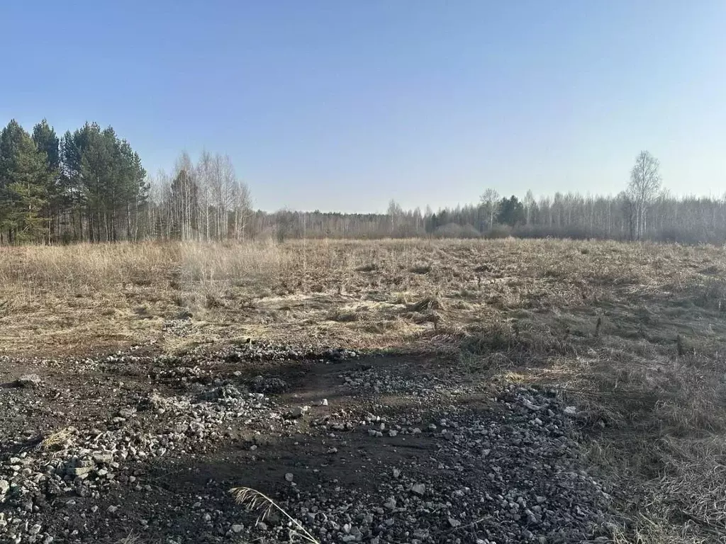 Участок в Тюменская область, Нижнетавдинский район, Березка СНТ  (15.0 ... - Фото 0