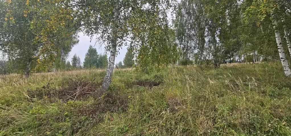 Участок в Московская область, Луховицы Луговая ул., 143 (12.26 сот.) - Фото 2