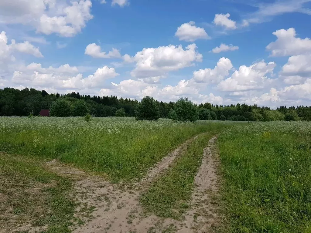 Участок в Ленинградская область, Гатчинский муниципальный округ, д. ... - Фото 1
