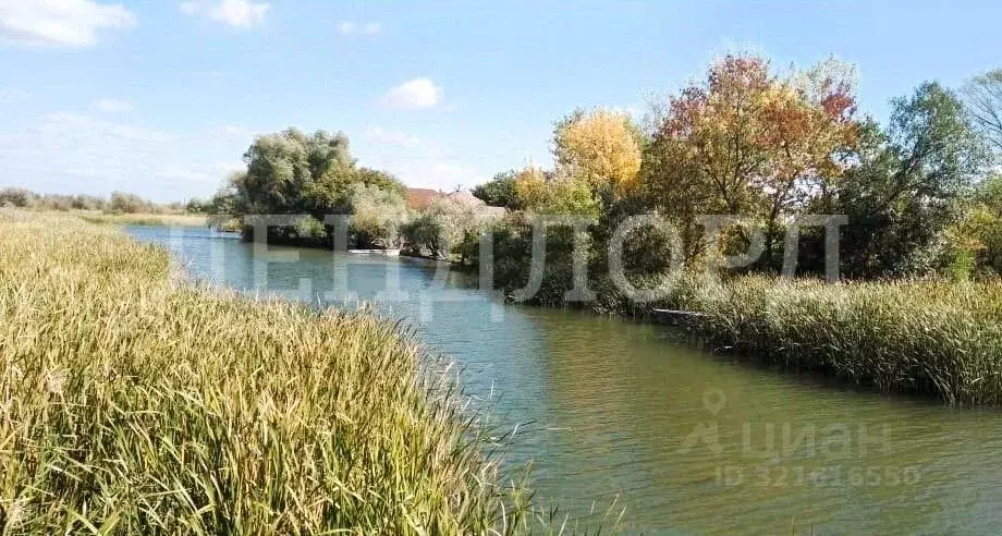 Участок в Ростовская область, Азовский район, Елизаветинское с/пос, ... - Фото 2