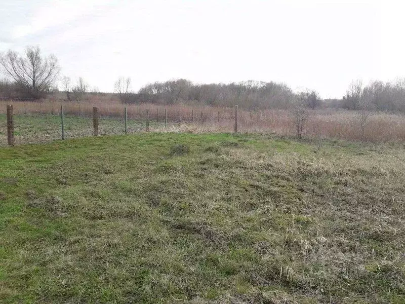 Участок в Калининградская область, Гурьевский муниципальный округ, ... - Фото 2