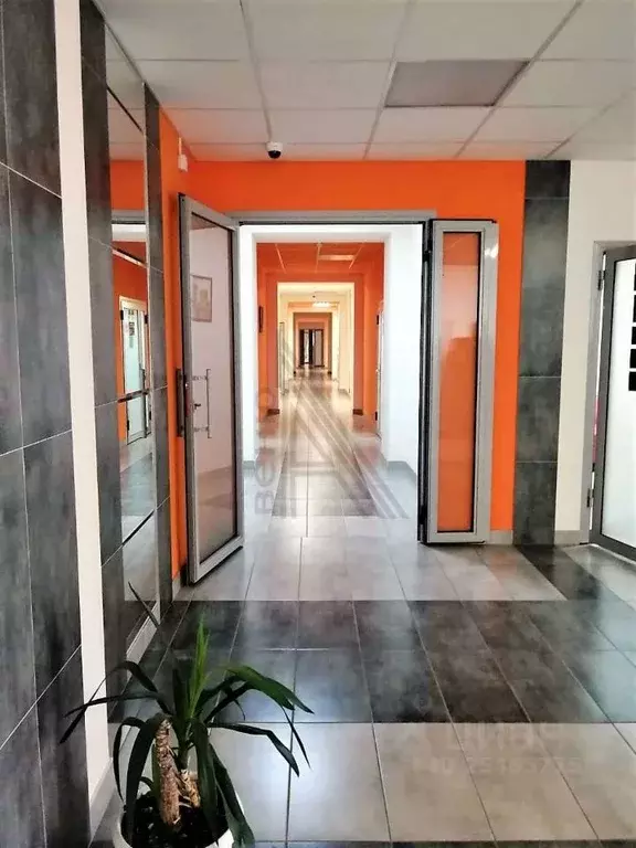 Офис в Воронежская область, Воронеж ул. Хользунова, 38/11 (34.2 м) - Фото 1
