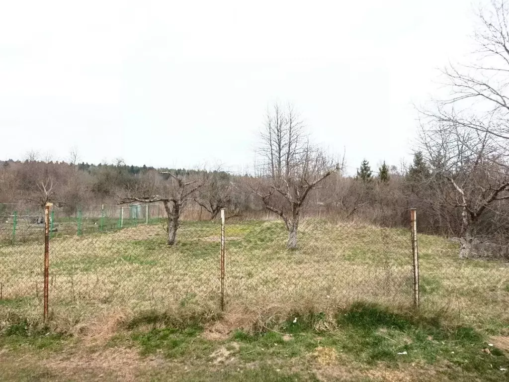 Участок в Калининградская область, Зеленоградский муниципальный округ, ... - Фото 1