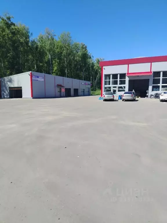 Торговая площадь в Московская область, Домодедово городской округ, д. ... - Фото 2