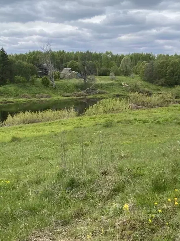 Участок в Смоленская область, Угранский муниципальный округ, д. ... - Фото 0