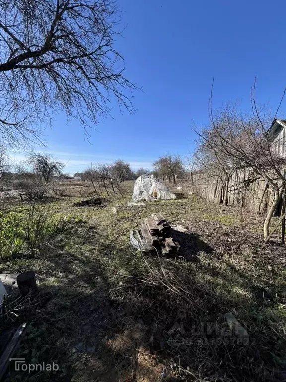 Дом в Брянская область, Брянский район, Мичуринское с/пос, Мичуринец ... - Фото 1