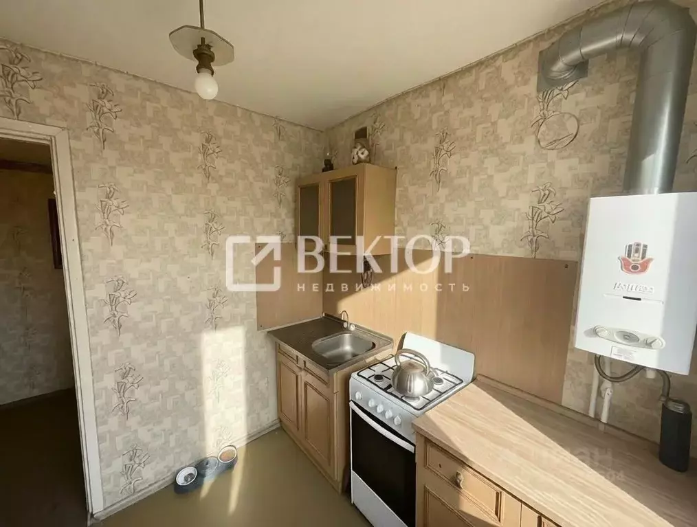 1-к кв. Ивановская область, Иваново Велижская ул., 70 (31.0 м) - Фото 2