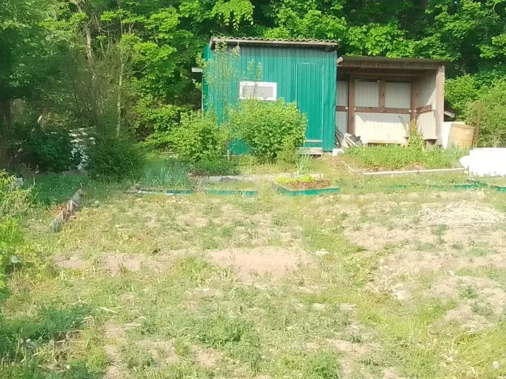 Участок в Приморский край, Артемовский городской округ, с. Суражевка ... - Фото 0