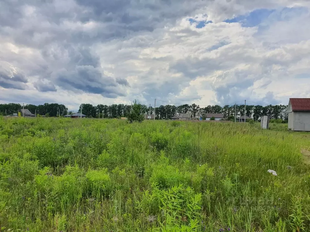 Участок в Липецкая область, Грязинский район, Плехановский сельсовет, ... - Фото 1