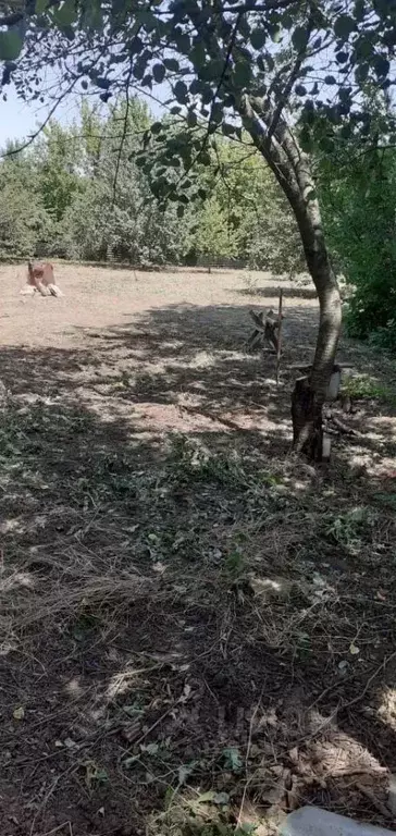 Участок в Ростовская область, Октябрьский район, Красюковское с/пос, ... - Фото 2
