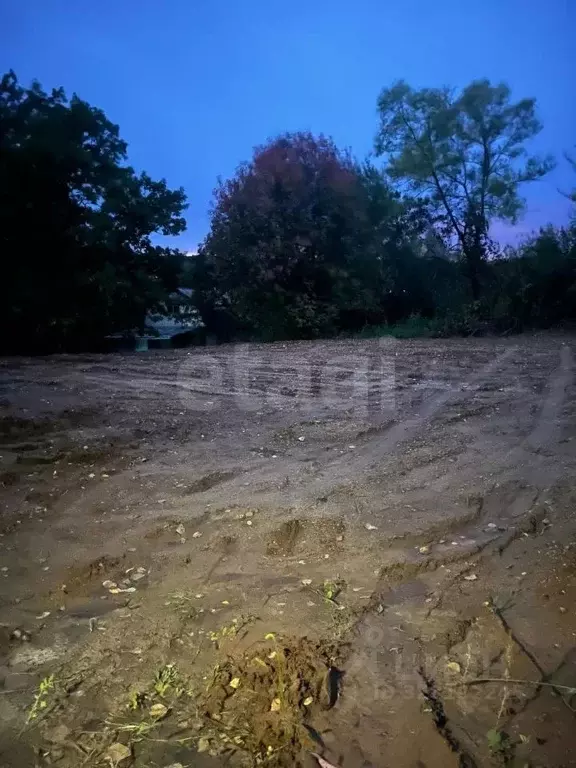 Участок в Амурская область, Благовещенский район, с. Чигири  (8.0 ... - Фото 1