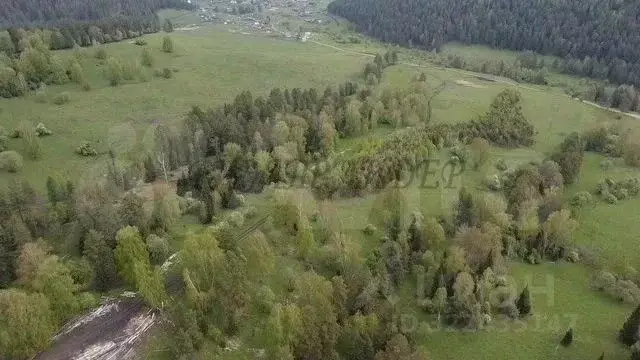 Участок в Алтай, Майминский район, с. Александровка Заречная ул. (15.0 ... - Фото 1