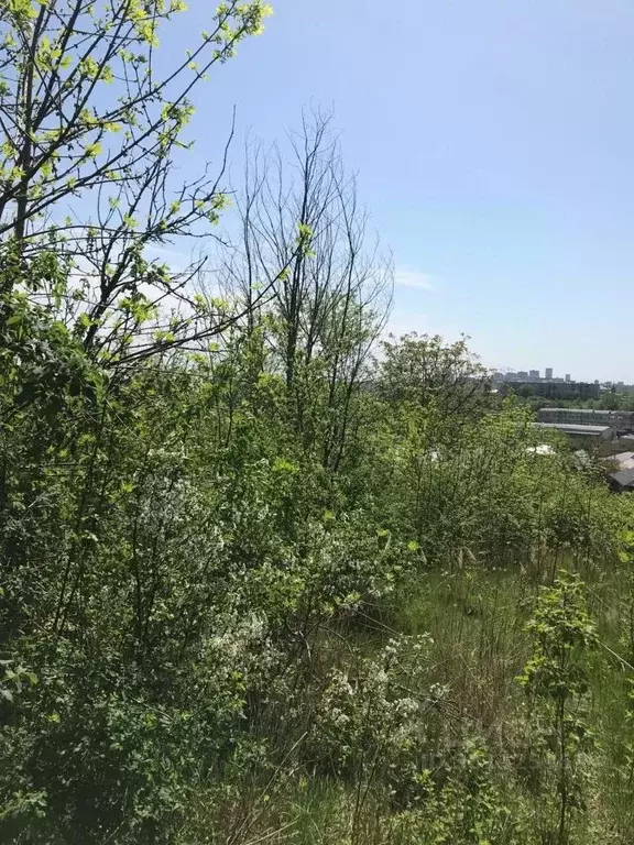 Участок в Ставропольский край, Ставрополь Кавказ садовое товарищество, ... - Фото 1