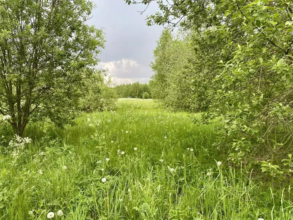 Участок в Владимирская область, Александровский муниципальный округ, ... - Фото 1