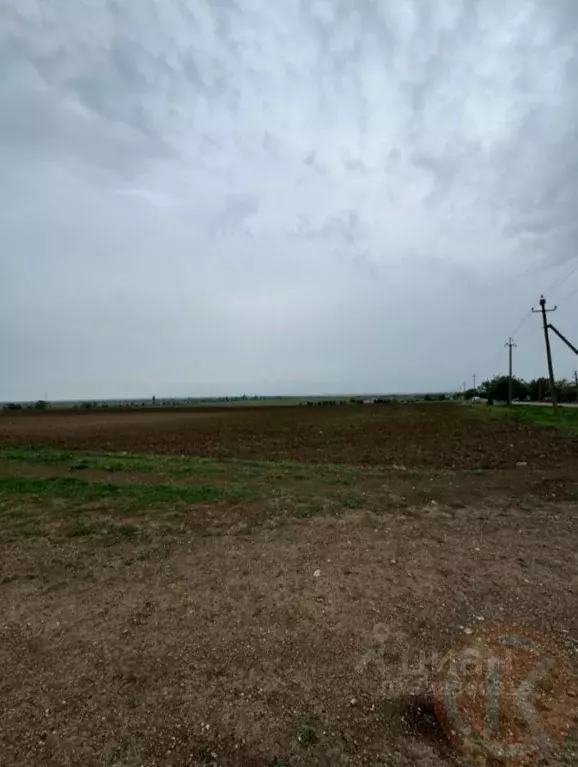 Участок в Крым, Красногвардейский район, Полтавское с/пос, с. ... - Фото 2