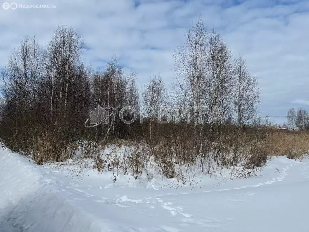 Участок в Тюмень, садовое товарищество Ясень (11 м) - Фото 0