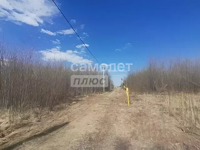 Участок в Марий Эл, Йошкар-Ола городской округ, д. Шоя-Кузнецово ул. ... - Фото 1