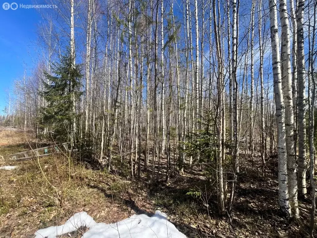 Участок в Республика Коми, муниципальный район Сыктывдинский, ... - Фото 1