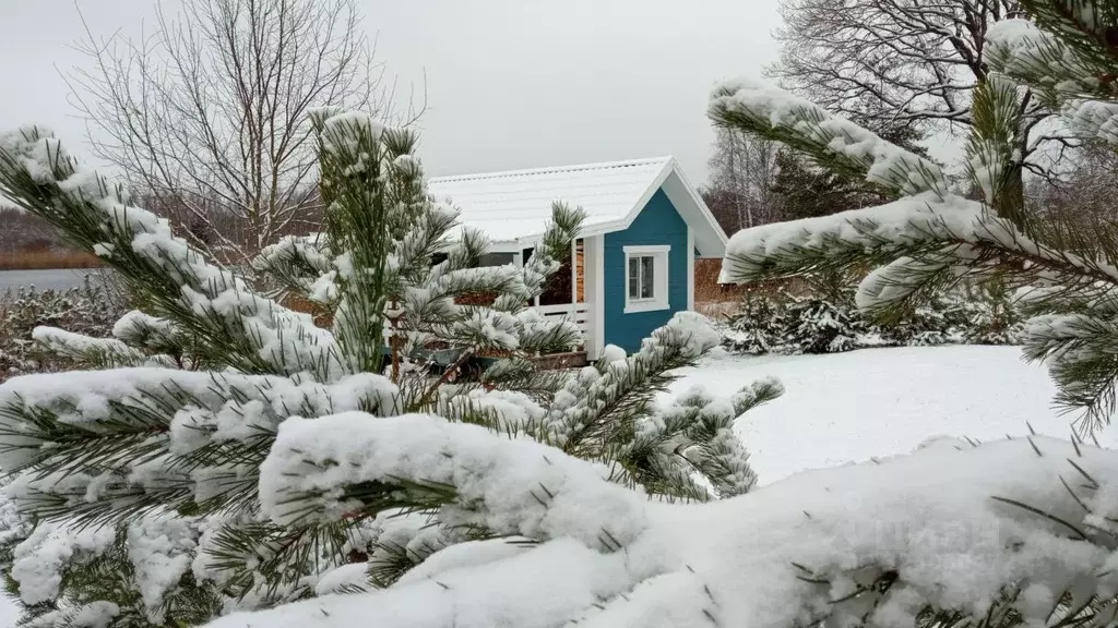 Дом в Псковская область, Гдовский район, Юшкинская волость, д. Речицы ... - Фото 2