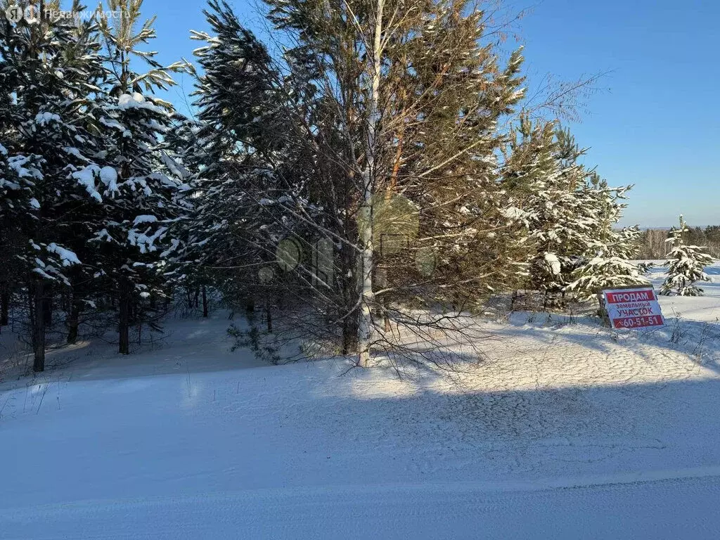 Участок в Иркутский муниципальный округ, посёлок Горный (15 м) - Фото 2