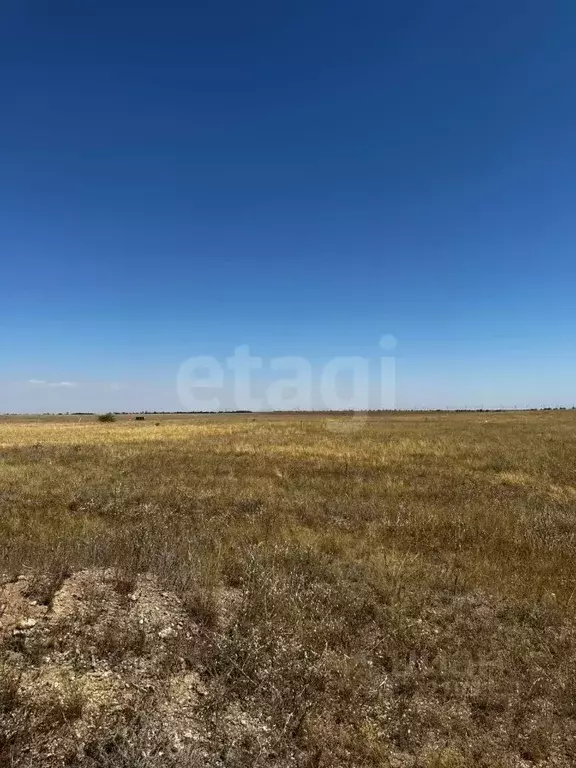 Участок в Крым, Евпатория городской округ, Новоозерное пгт ул. ... - Фото 1