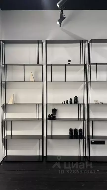 Офис в Москва ул. Большая Дмитровка, 13 (58 м) - Фото 2