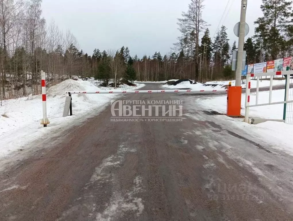 Участок в Ленинградская область, Приозерский район, пос. Сосново, ... - Фото 1