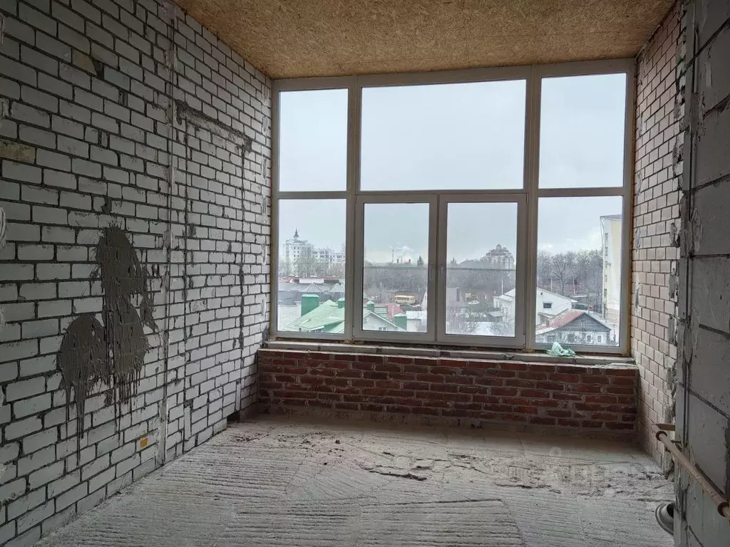 4-к кв. Воронежская область, Воронеж Скорняжный пер., 10 (160.0 м) - Фото 2