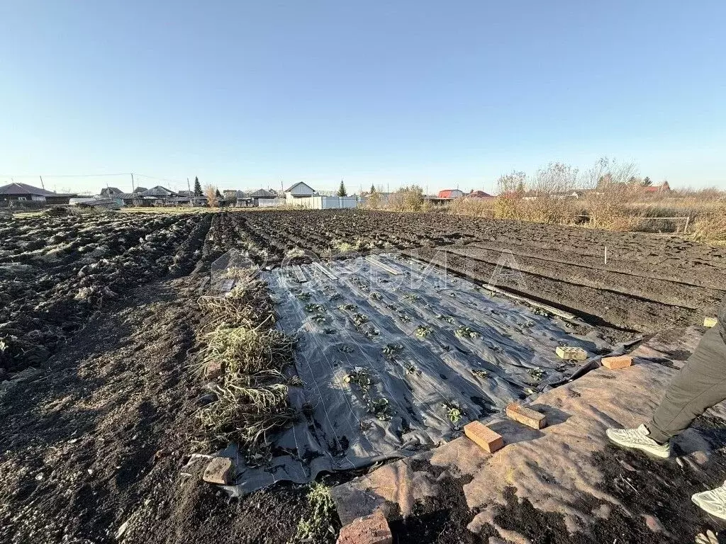 Участок в Тюменская область, Тюменский муниципальный округ, с. ... - Фото 1
