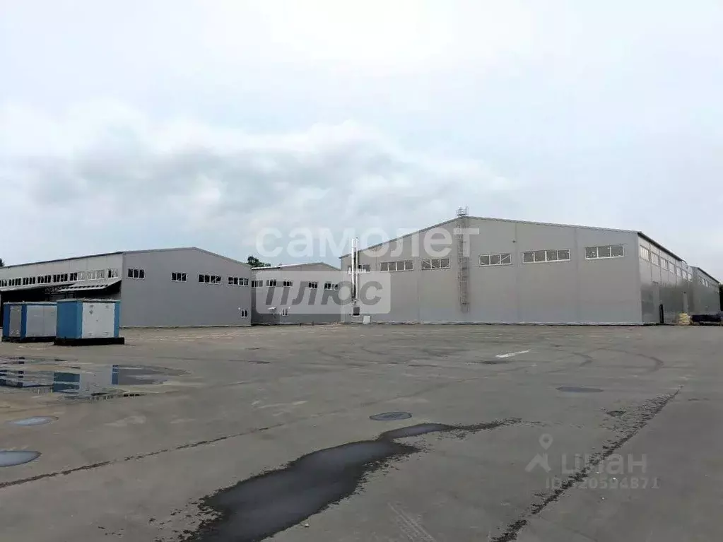 Склад в Московская область, Пушкинский городской округ, д. ... - Фото 1
