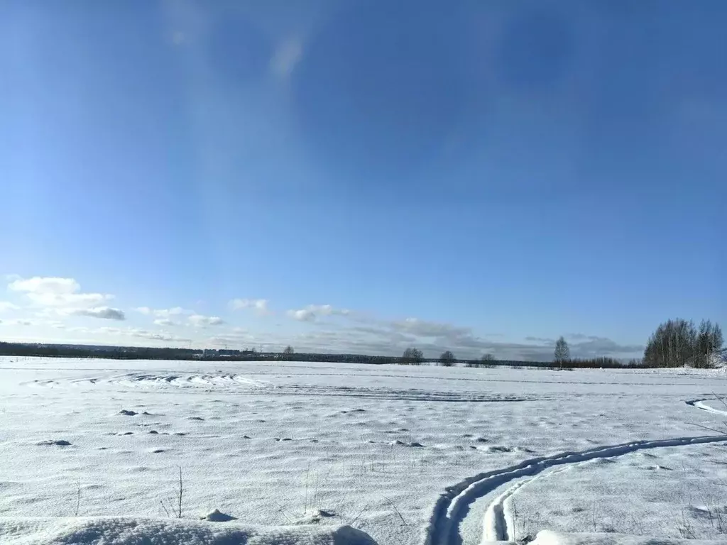 Участок в Псковская область, Куньинский район, Каськовская волость, д. ... - Фото 1