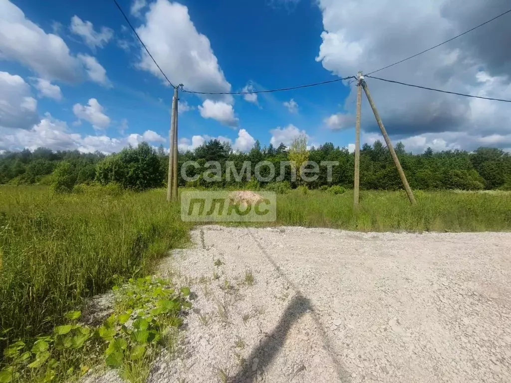 Участок в Ленинградская область, Тосненский район, Любанское городское ... - Фото 2