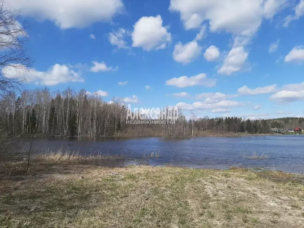 Участок в Ленинградская область, Приозерский район, Мельниковское ... - Фото 1