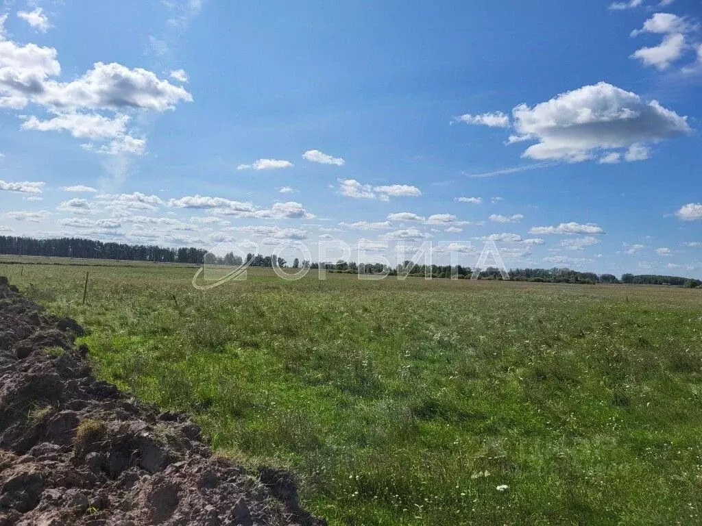 Участок в Тюменская область, Тюменский район, с. Щербак  (6.22 сот.) - Фото 1