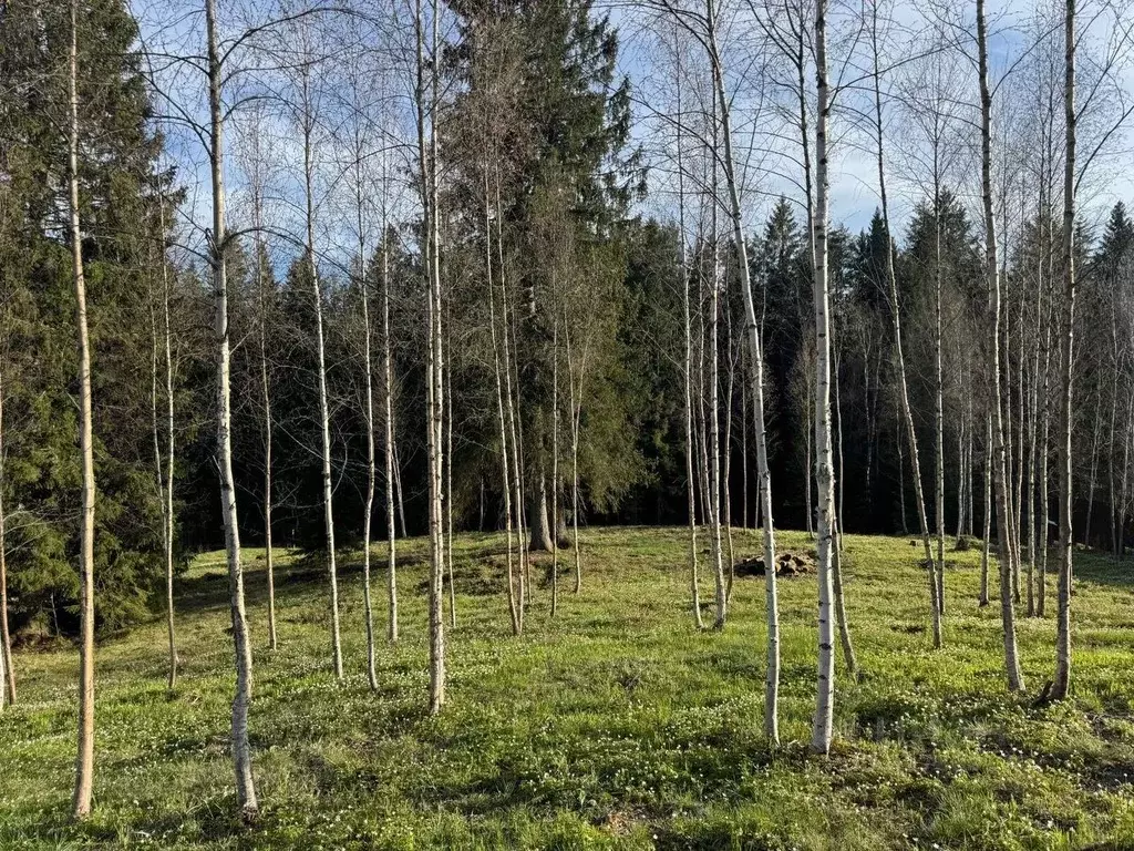 Участок в Ленинградская область, Выборгский район, Полянское с/пос, ... - Фото 1