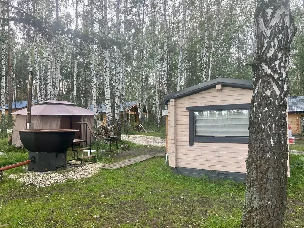 Дом в Свердловская область, Верхняя Пышма городской округ, пос. ... - Фото 2