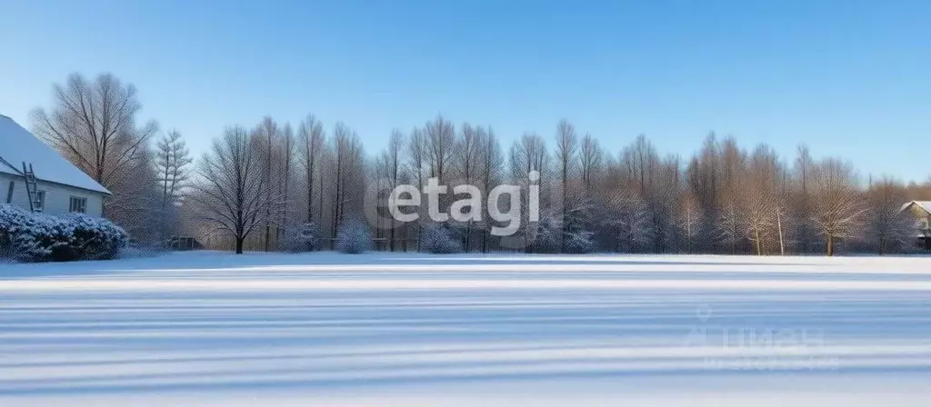 Участок в Владимирская область, Петушки ул. Ямская (20.0 сот.) - Фото 1